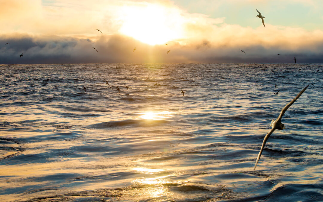 Q&A with Samantha Bova: How This Summer’s Heat Affects Our Oceans